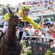 Your Melbourne Cup Carnival experience awaits!