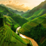 Ultimate Vietnam with Sapa Hills Trek & Mekong Delta Experience