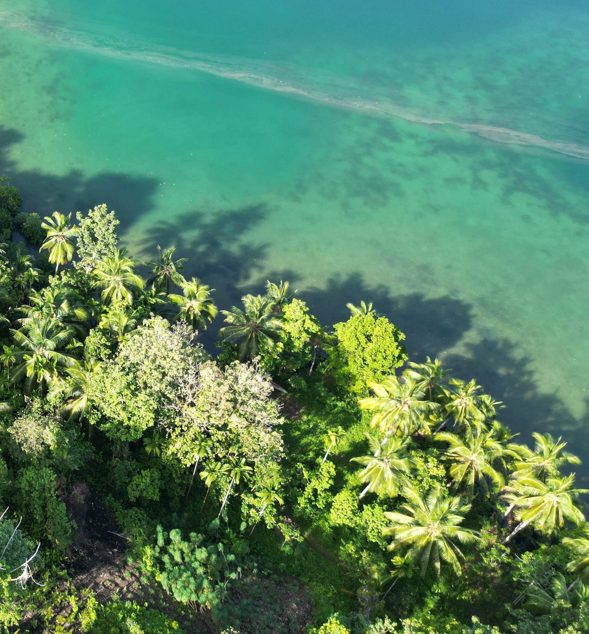 Solomon Island Escape