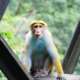 8 Day Sri Lanka Cultural Triangle Tour