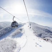 Ski Korea Early Bird Special