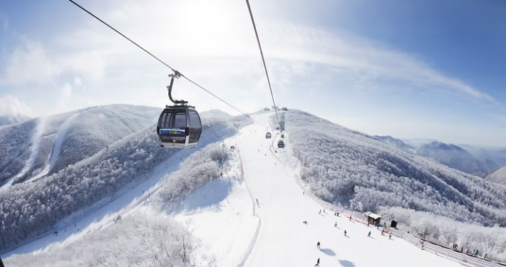 Ski Korea Early Bird Special
