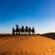 Morocco Casablanca to Marrakech 8 Day Tour