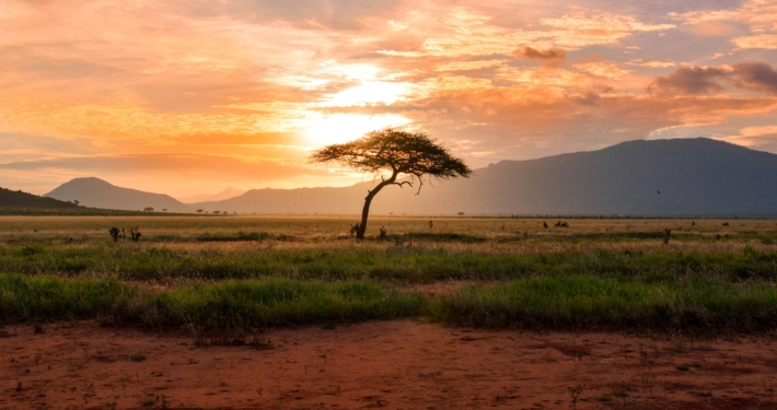 Premium South African All Inclusive Safari With Iconic Blue Train Journey