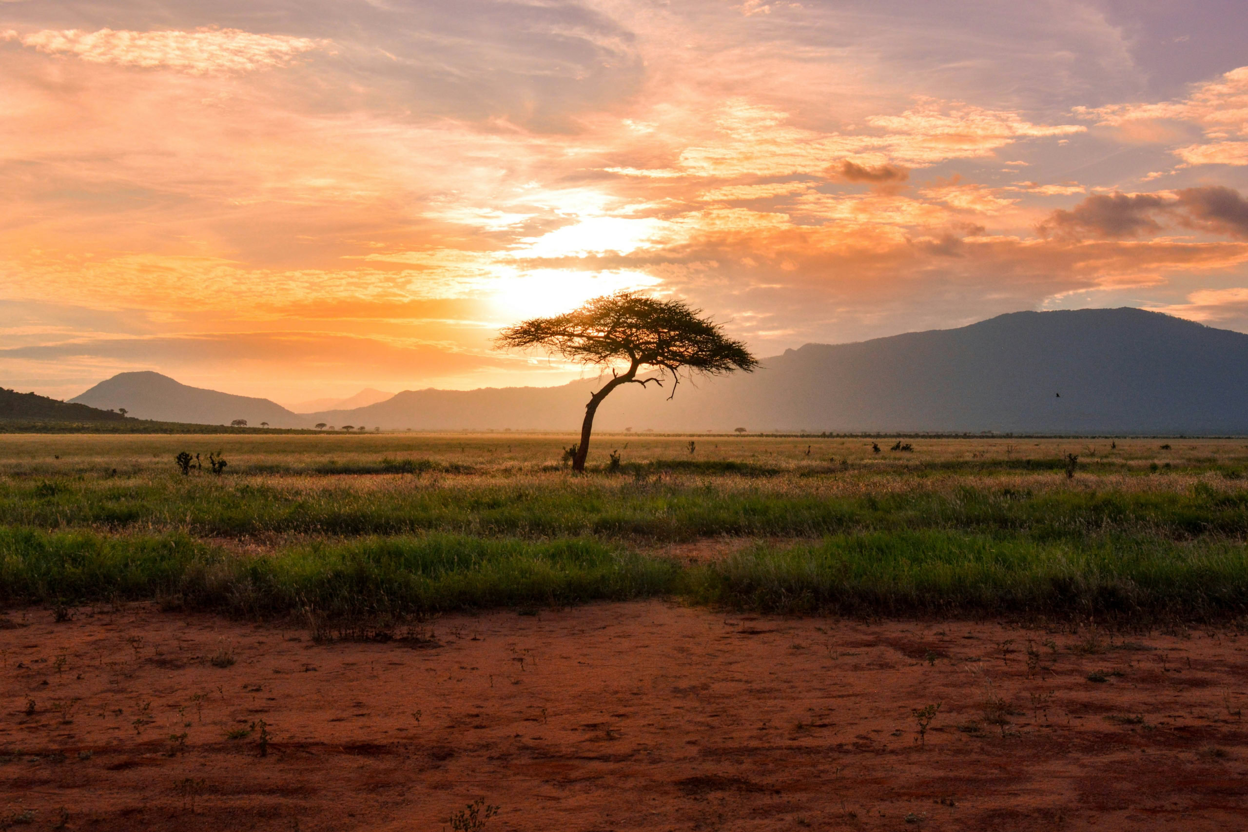 Premium South African All Inclusive Safari With Iconic Blue Train Journey