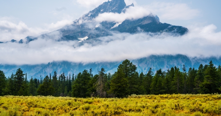 Yellowstone And Yosemite Camping And Hotel Mixed Tour