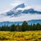 Yellowstone And Yosemite Camping And Hotel Mixed Tour